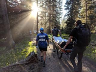 SAR volunteers wheeling a litter with patient through the woods