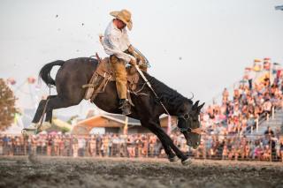 rodeo at the gallatin county fairgrounds